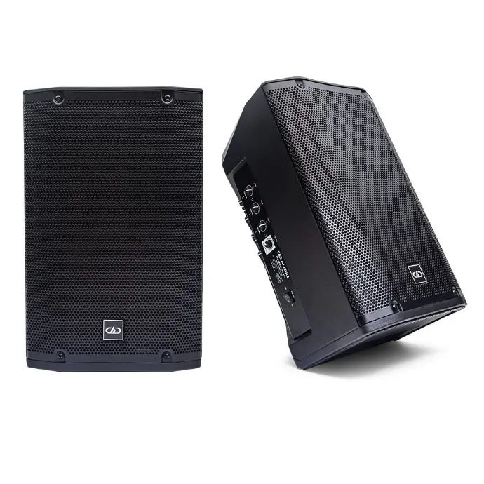 Photo of two RAGER-PRO-851 speakers, one angled top to bottom right to the side to partially show controls, positioned to direct sound up and out, the other facing front to show logo on grill
